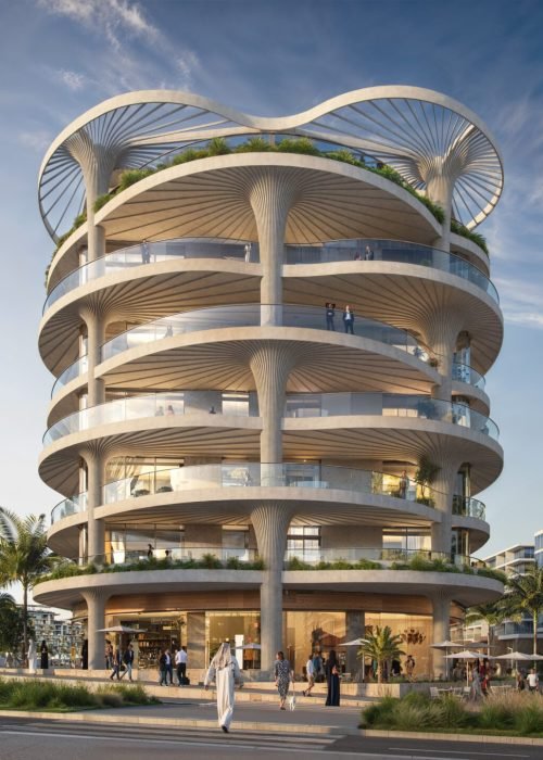 Mamsh palm (3)