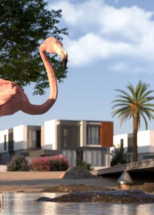 Saadiyat Lagoons (20)