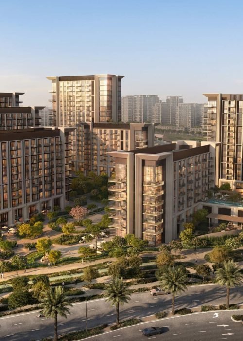 Sei Saadiyat (8)