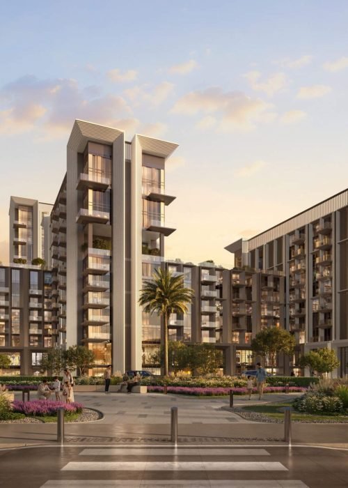 Sei Saadiyat (9)